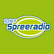 105'5 Spreeradio-Logo