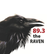 89.3 The Raven 