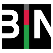 Black Information Network BIN-Logo
