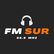 FM Sur 88.9-Logo