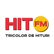 Hit FM Tricolor De Hituri 