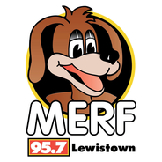 MERF Radio-Logo