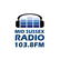 Mid Sussex Radio MSR 