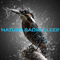 NATURE RADIO SLEEP-Logo