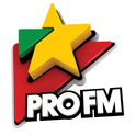 ProFM-Logo
