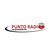 Punto Radio FM