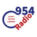 Radio 954