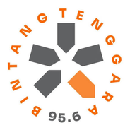 Radio Bintang Tenggara-Logo
