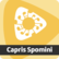 Radio Capris Spomini 