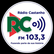 Rádio Castanho-Logo