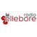 Radio Ellebore Groove Factory 