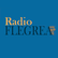 Radio Flegrea 