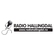 Radio Hallingdal 