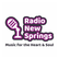Radio New Springs-Logo