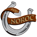 Radio Noroc-Logo