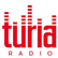 Radio Turia 
