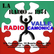 Radio Valle Camonica 