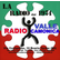 Radio Valle Camonica