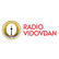 Radio Vidovdan-Logo