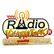Radio Village Network-Logo