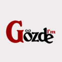 Radyo Gözde 96.9-Logo