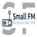 Small FM 