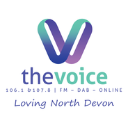The Voice-Logo