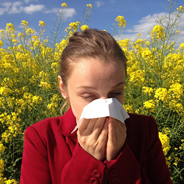 Pollenallergien sind vor allem im Frühling sehr lästig