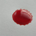 Im menschlichen Blut sind einihe Weichmacher und Chemikalien drin