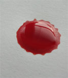 Im menschlichen Blut sind einihe Weichmacher und Chemikalien drin