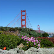 Die Golden Gate Bridge ist nur eine der Sehenswürdigkeiten auf der Strecke des Highway Number One