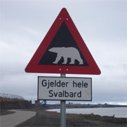 "Achtung, Eisbären!", sagt dieses Schild. Denn knuffig sind die Bären nur als Baby