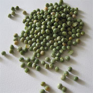 Nicht nur für Prinzessinnen eine Horror-Vorstellung: mit Hochsensibilität auf Erbsen schlafen