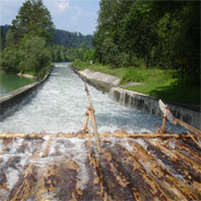 Der letzte Wildfluss an der Isar soll allen in Bayern gerecht werden: Der Energiewirtschaft, der Naturschützer und der Natur 