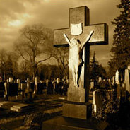 Fünfzig Jahre nach der Machtergreifung durch Adolf Hitler erwachen die Toten - Juden, Homosexuelle und Behinderte - auf einem Friedhof zum Leben