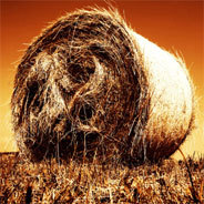 Das kleine Dorf Quiznow sitzt, wegen der Dürre, auf dem Trockenen. Eine Regenauffanganlage soll es richten