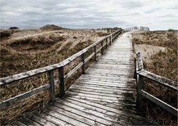 Ida flieht auf die Insel Rügen. Doch das Schicksal holt sie wieder ein