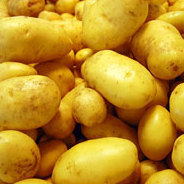 Wie soll das Essen der Zukunft produziert werden?