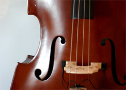 Bassistin Gina Schwarz kam mit ihrem Ensemble Pannonica ins Wiener Porgy & Bess