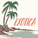 laut.fm exotica 