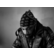 laut.fm jpegmafia-radio