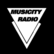 laut.fm musicity-hiphopcity 