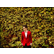 laut.fm panic-at-the-disco-radio