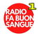 laut.fm puntoradioveneto 
