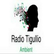 laut.fm radio-tigullio-ambient 