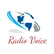 laut.fm radio-voice 