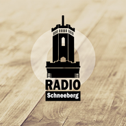 laut.fm-Logo