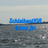 laut.fm schleibeat108