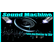 laut.fm sound-machine-club 