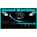 laut.fm sound-machine-club